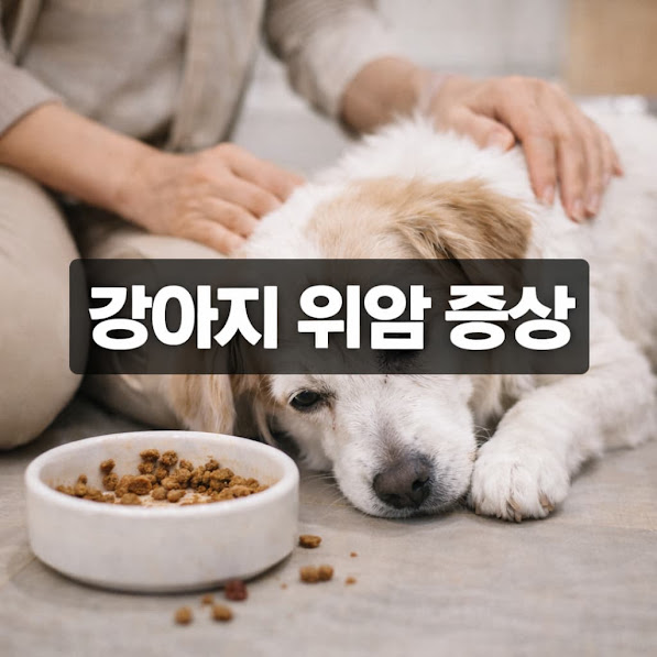 강아지 위암 증상