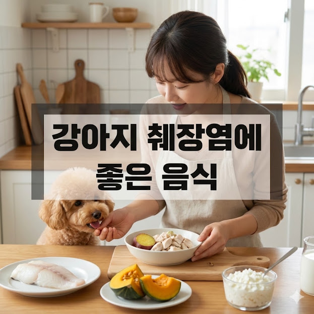 강아지 췌장염에 좋은 음식