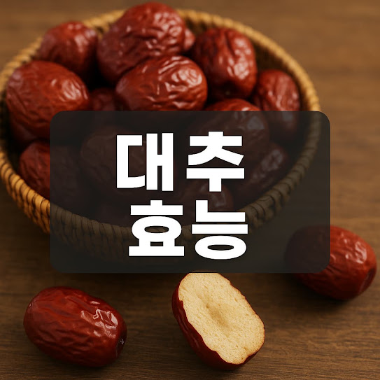 대추 효능