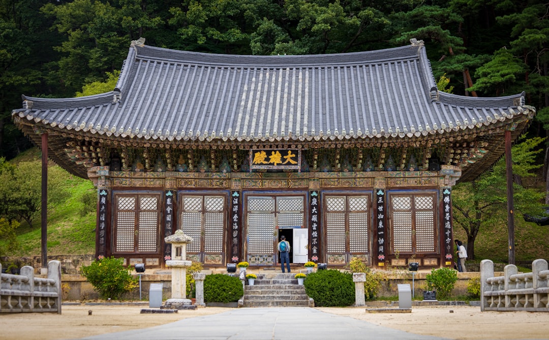 피부가 자극받은 부위에 보습 크림을 부드럽게 바르는 손의 클로즈업