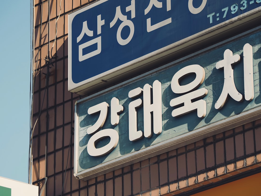 다양한 알레르기 약물(항히스타민제, 자동 주입펜)이 정돈된 약장 내부