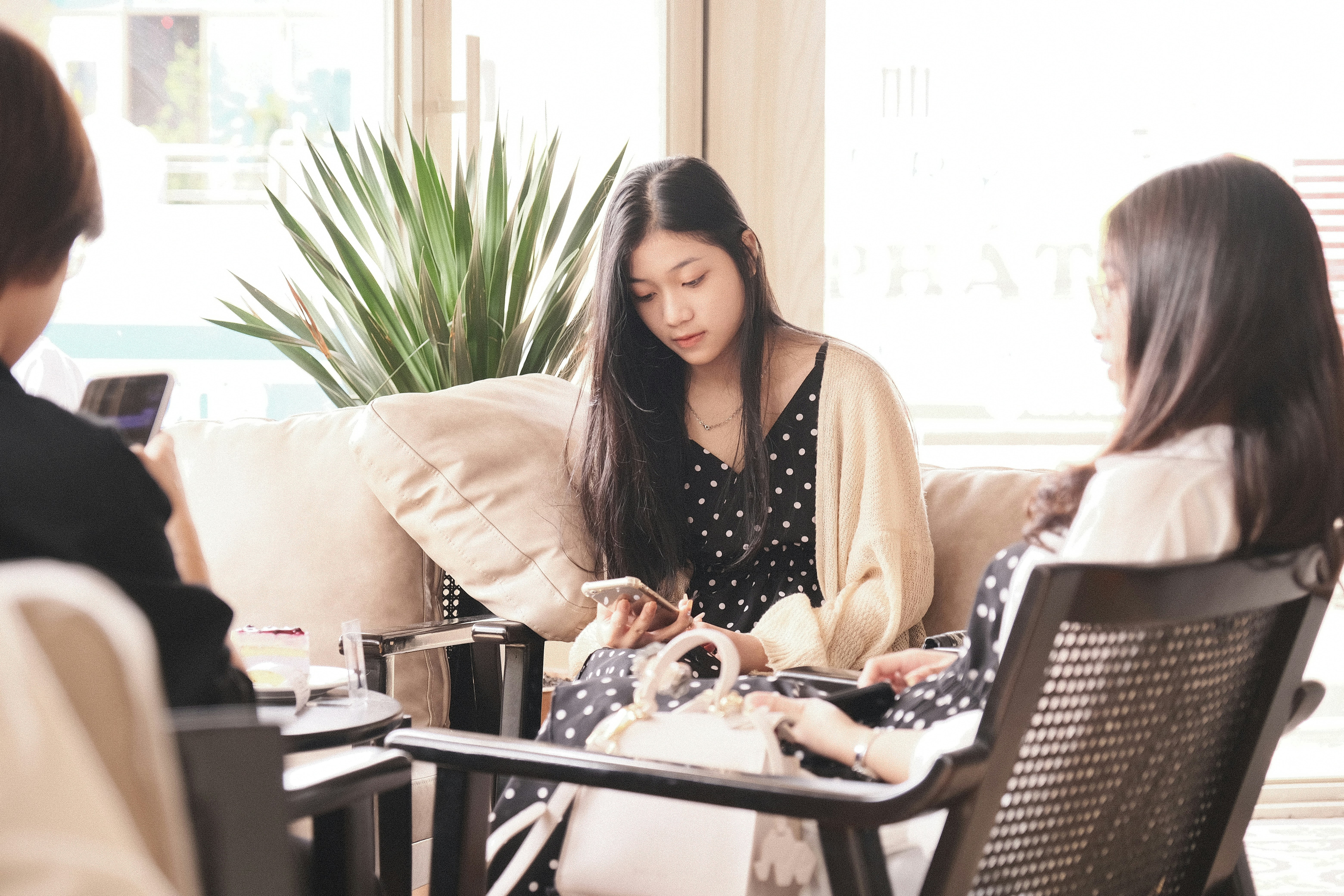 피부과 진료
