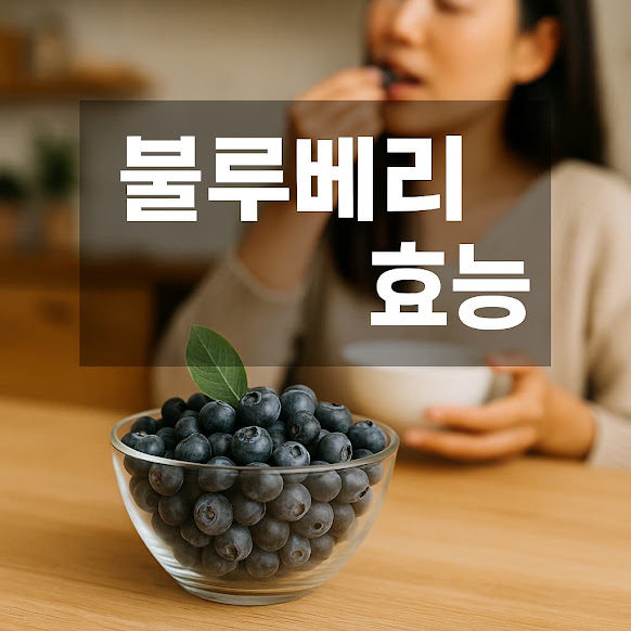 블루베리 효능