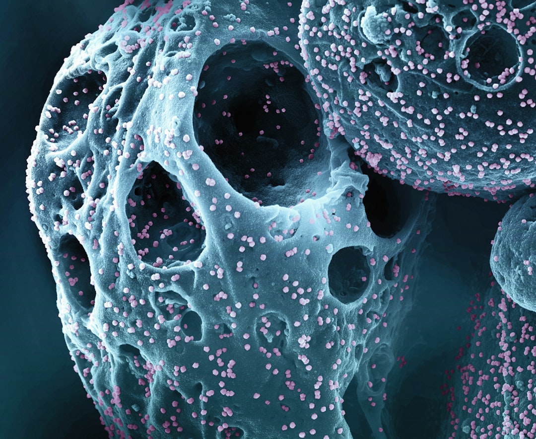 사람유두종바이러스(HPV)가 피부 세포에 감염되는 과정을 보여주는 현미경 이미지.