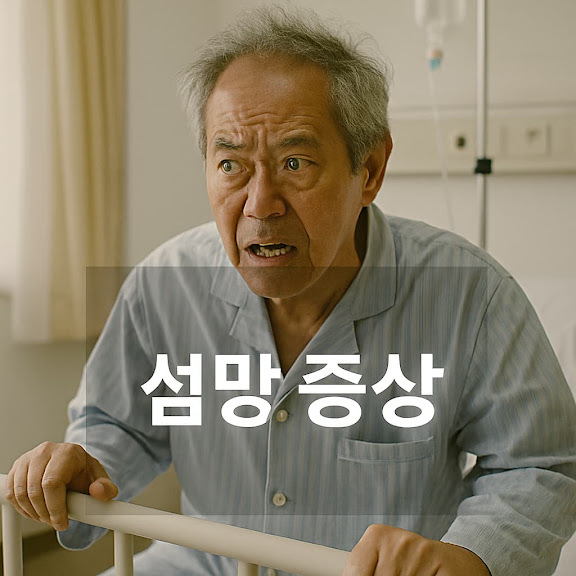 섬망 증상