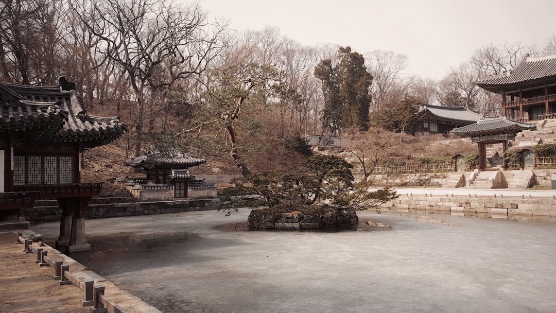따뜻한 허브차, 포근한 담요, 두꺼운 양말이 놓여있는 모습으로, 수족냉증 개선을 위한 편안하고 따뜻한 환경을 상징