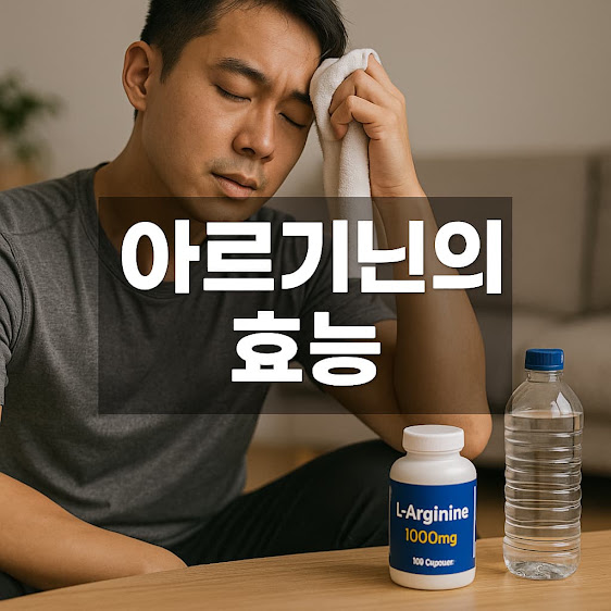 아르기닌의 효능