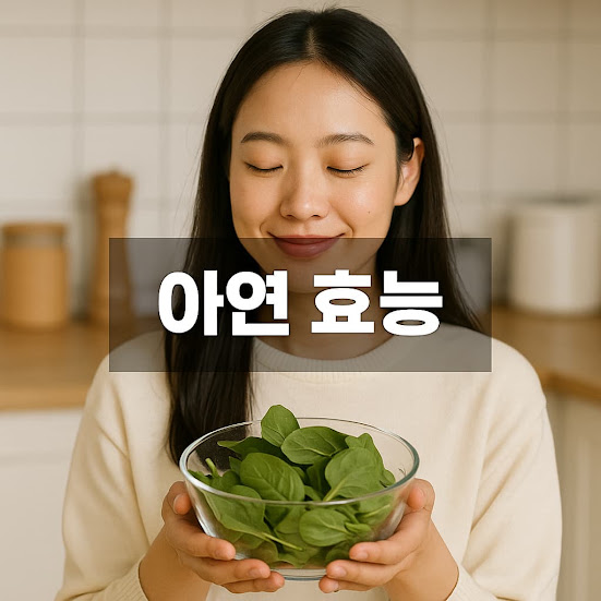 아연 효능