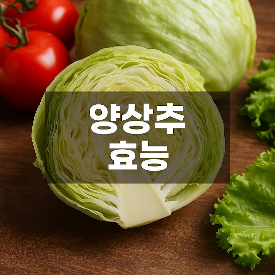 양상추 주요 영양성분 (100g 기준)