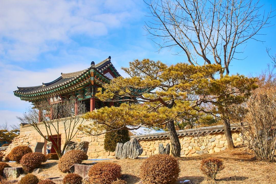 약물 복용, 스트레스, 탈수 등 구강건조증의 주요 원인을 시각적으로 나타낸 이미지.