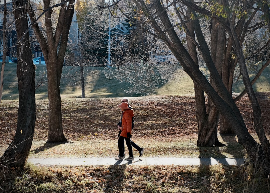 공원에서 운동하는 사람의 모습, 지방간 개선 운동.