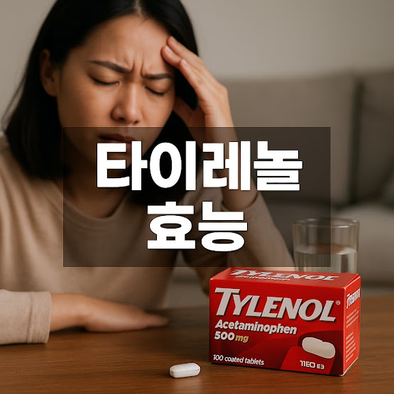 타이레놀 효능