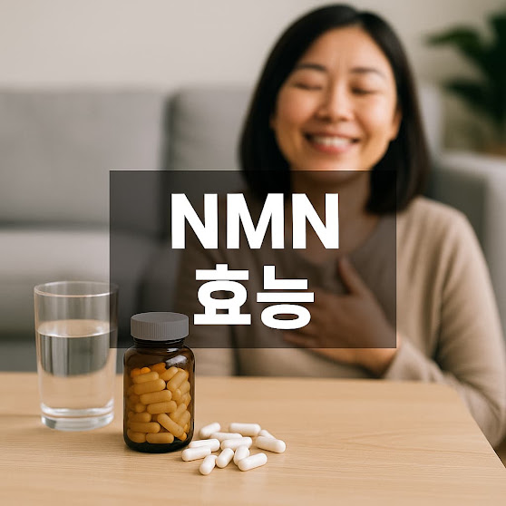 nmn 효능