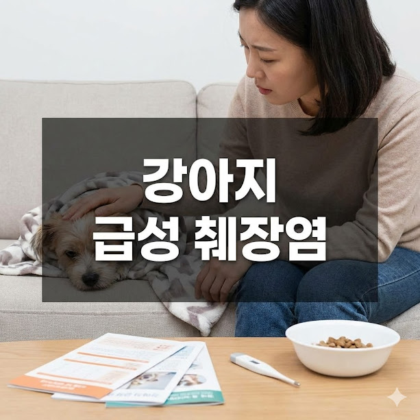 강아지 급성 췌장염, 보호자가 알아야 할 모든 것