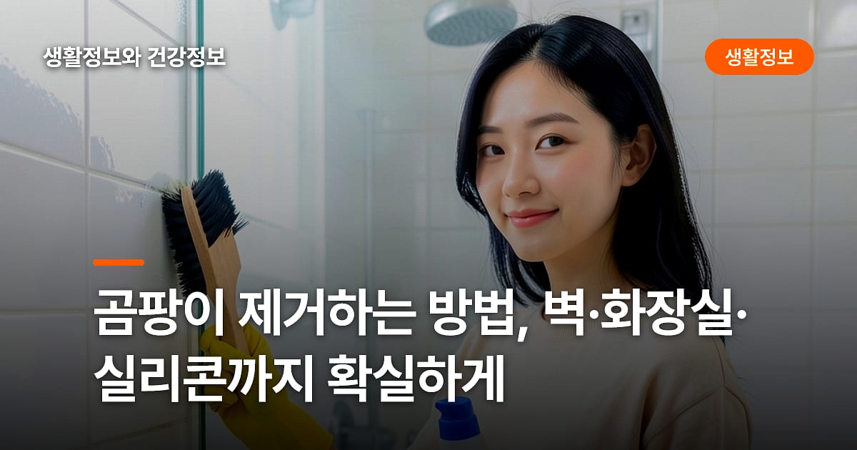 곰팡이 제거하는 방법, 벽·화장실·실리콘까지 확실하게