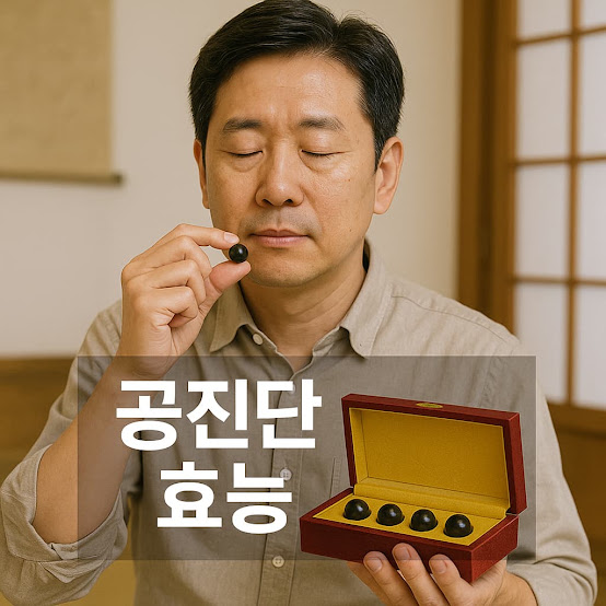 공진단 효능