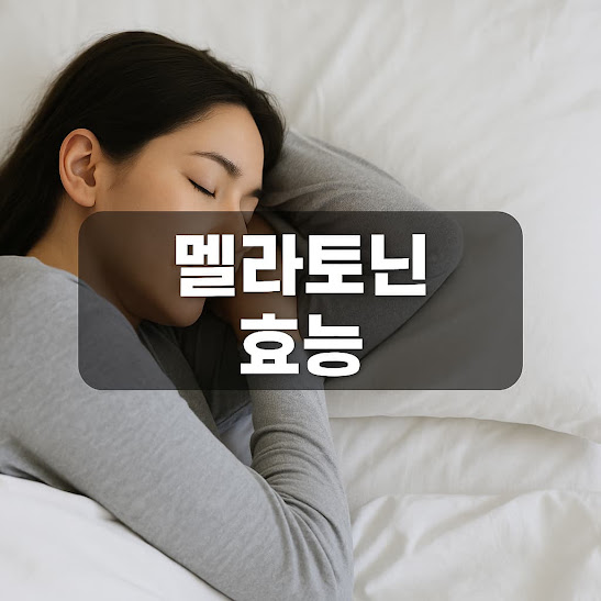 멜라토닌 효능
