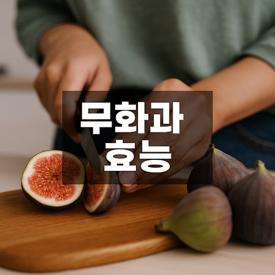무화과 효능｜하루 한 개로 챙기는 천연 건강 과일의 비밀