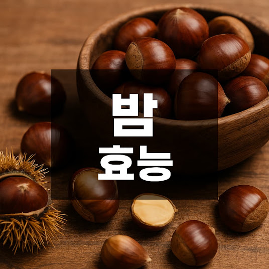 밤 효능
