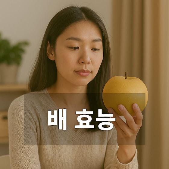 배 효능