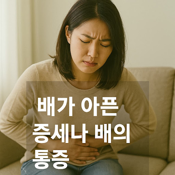 배가 아픈 증세나 배의 통증