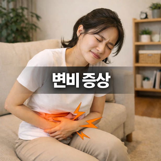 변비 증상