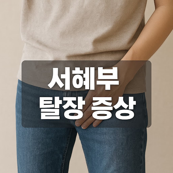 서혜부 탈장 증상