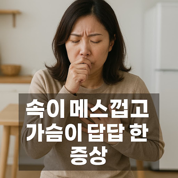 속이 메스껍고 가슴이 답답한 증상