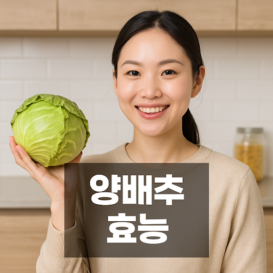 양배추 효능 총정리｜위 건강부터 다이어트까지, 매일 챙겨야 하는 이유