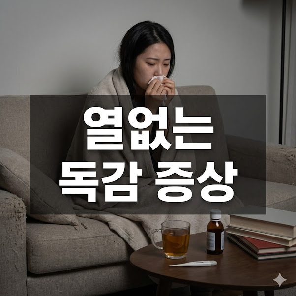 열없는 독감 증상