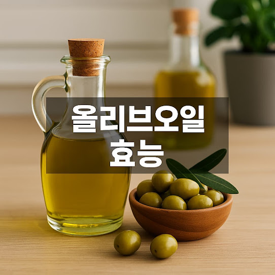 올리브오일 효능｜하루 한 스푼이 만드는 건강한 변화