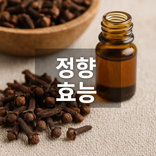 정향 효능 총정리｜입 냄새 제거부터 항염 효과까지, 한방이 인정한 천연 약재