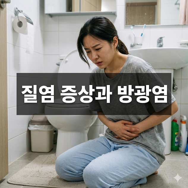 질염 증상과 방광염