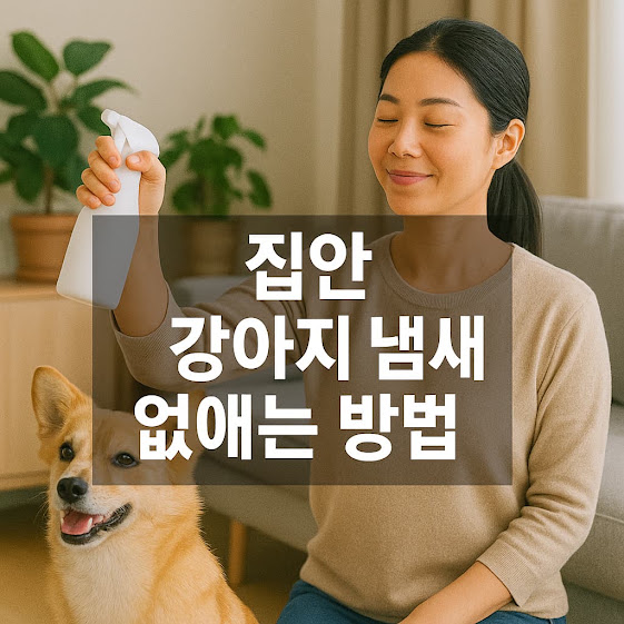 집안 강아지 냄새 없애는 방법