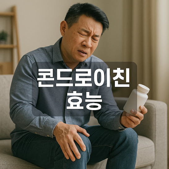 콘드로이친 효능, 제대로 아는 법
